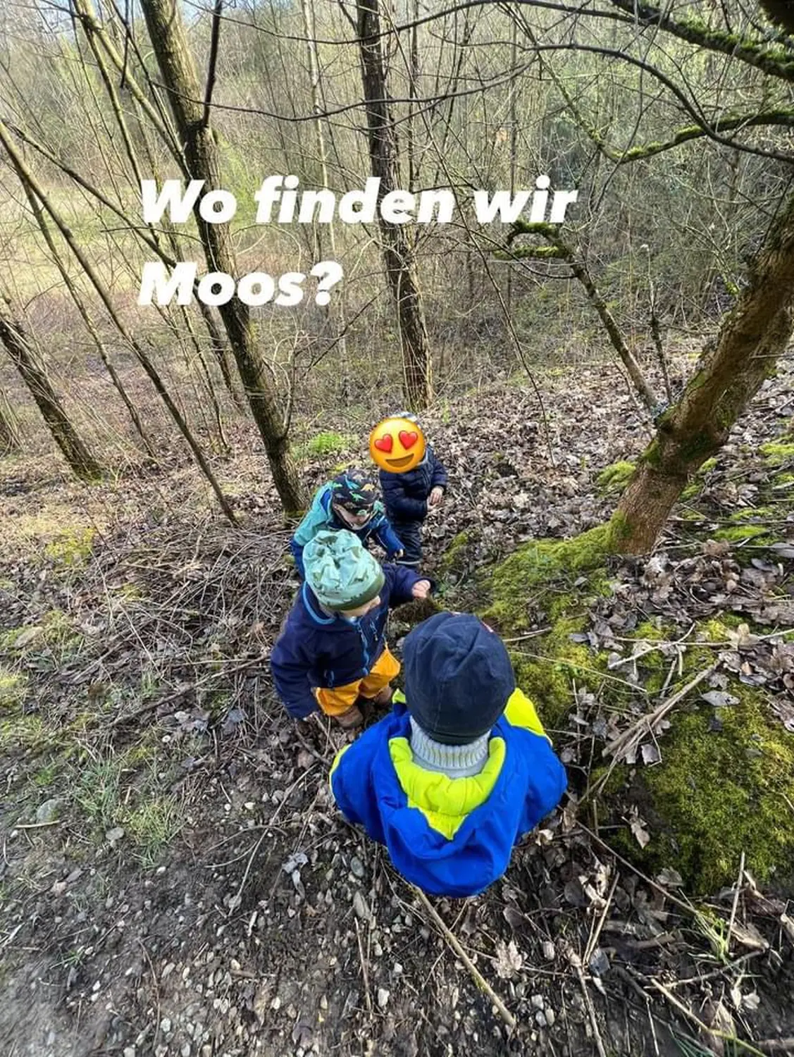 Kinder sind im Dschungel von Lisa Beck Kindertagespflege