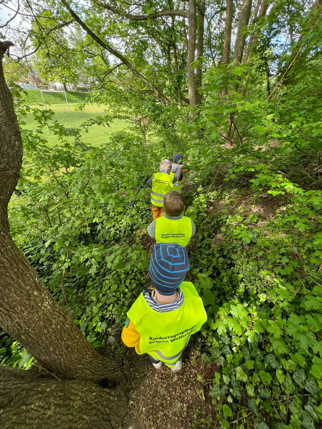 Kinder sind im Dschungel von Lisa Beck Kindertagespflege