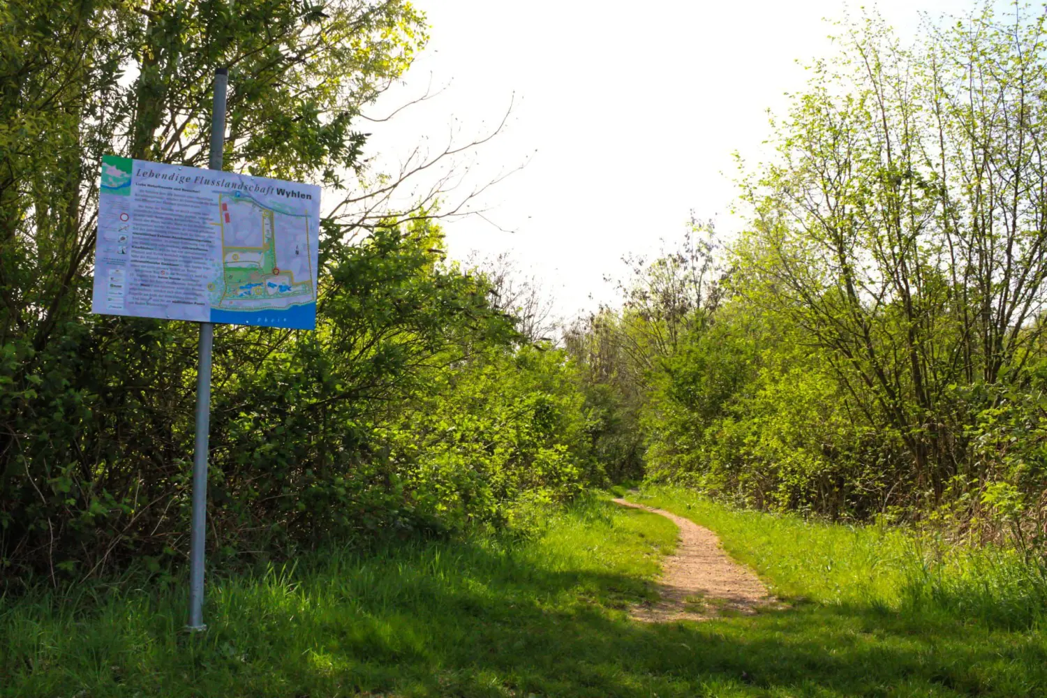 wald von Kindertagespflege von Lisa Beck