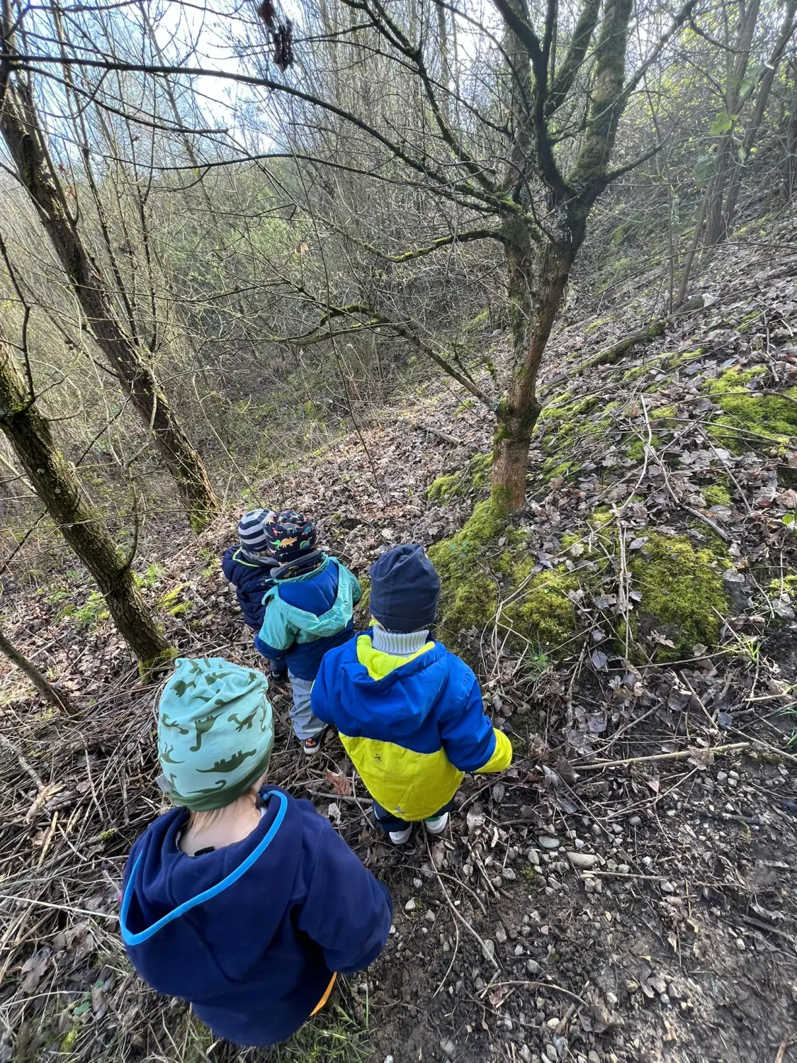 Kinder sind im Dschungel von Lisa Beck Kindertagespflege